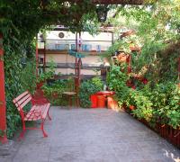PATIO POSTERIOR