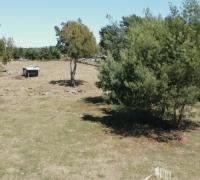 vista 1