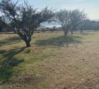 Area común del condominio Penínsulña del Lago, salida al embalse
