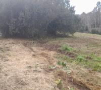 PASAJE COLINDANTE DE CONDOMINIO EN EL SECTOR