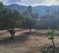 hermosos frutales y vista a la campana