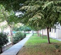Condominio con un ambiente full familiar, varias áreas verdes y juegos infantiles.