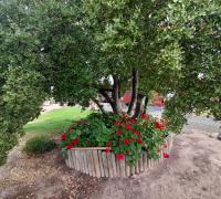 HERMOSOS JARDINES