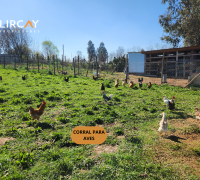 corral para aves