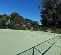Canchas
