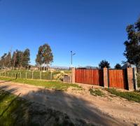 Rodeada de naturaleza 