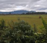 vista sala multiusos 