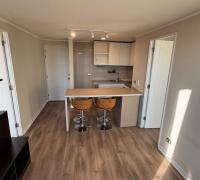 Living comedor y cocina americana