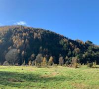 PRECIOSAS VISTAS