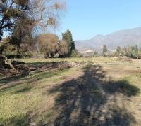 terreno