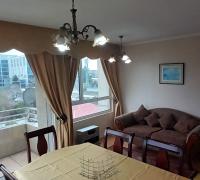 LIVING COMEDOR, AMOBLADO CON COMEDOR 6 SILLAS, COMODO SOFA, ALFOMBRAS, MESA LATERAL, LAMPARAS Y CUADROS DECORATIVOS TODO EN EXCELENTE ESTADO