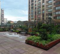 Patio 1