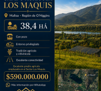 Predio agrícola 38,4 ha a 8 km de Ruta 5 Sur – Malloa