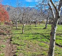 vista al campo