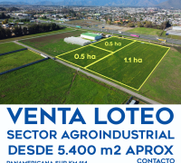 Fondo 180 mts aprox.