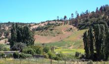 Terreno 360 grados dentro de Condominio en Pupuya
