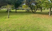 Sector picnic de la "Granja Aromática"