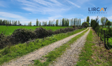 camino de servidumbre independiente