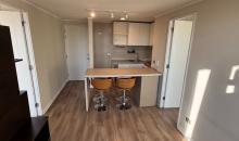 Living comedor y cocina americana