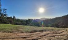 Terreno en la tranquilidad del campo.