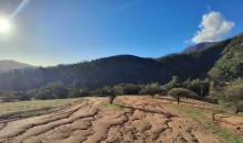 al fondo las montañas y bosque de bellotos