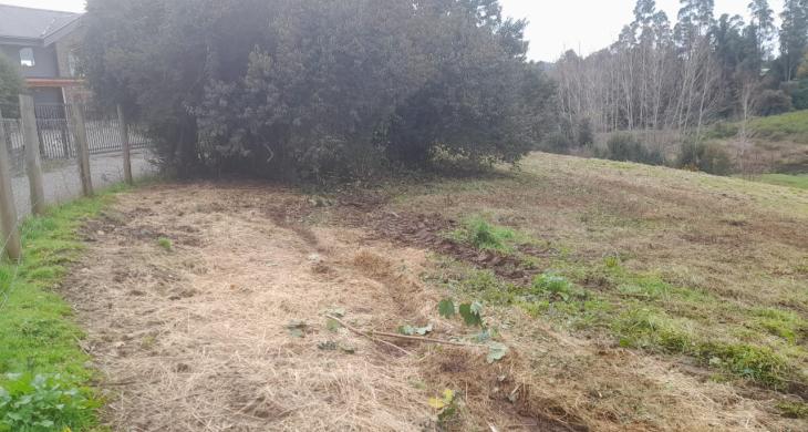 PASAJE COLINDANTE DE CONDOMINIO EN EL SECTOR
