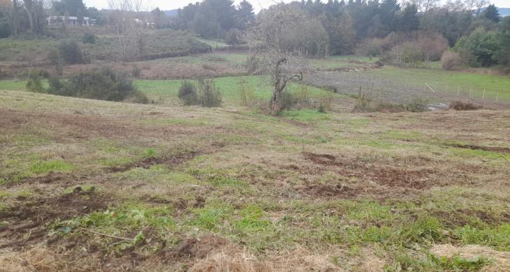 VISTA AMPLIA DE LA PARCELA