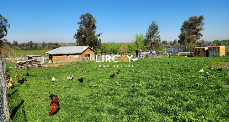 posee corral para aves