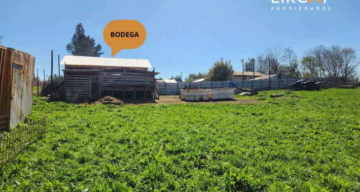 dos bodegas