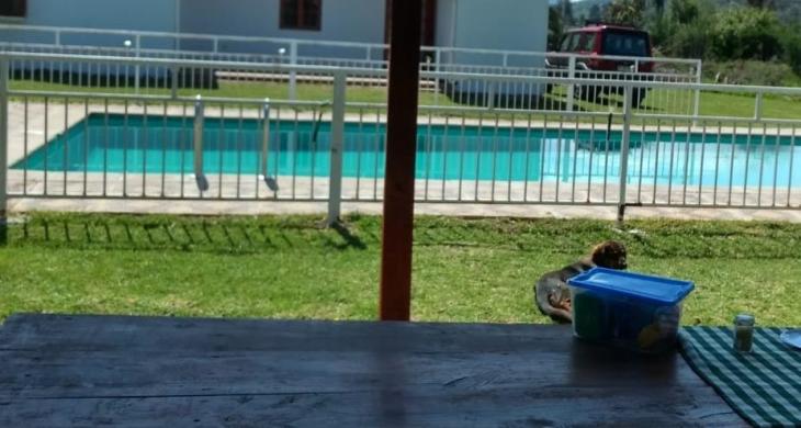 vista quincho