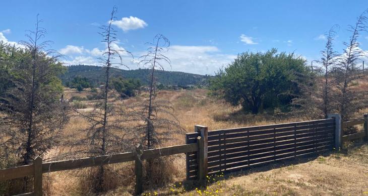 leve pendiente del oriente al poniento