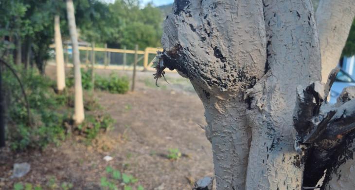 Una perspectiva al patio