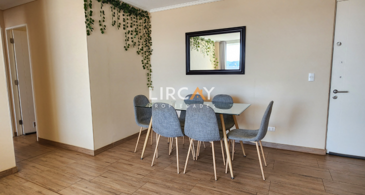 Amplio living comedor