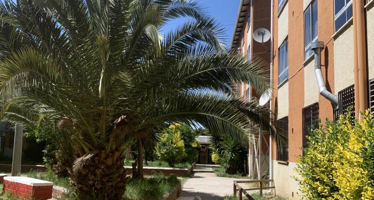 Vista lateral del condominio, rodeado de áreas verdes, palmeras y vegetación consolidada que aporta frescura y buen entorno. El recinto cuenta con espacios comunes, senderos peatonales y sector de juegos infantiles, ideal para familias y para disfrutar de un ambiente tranquilo y agradable.