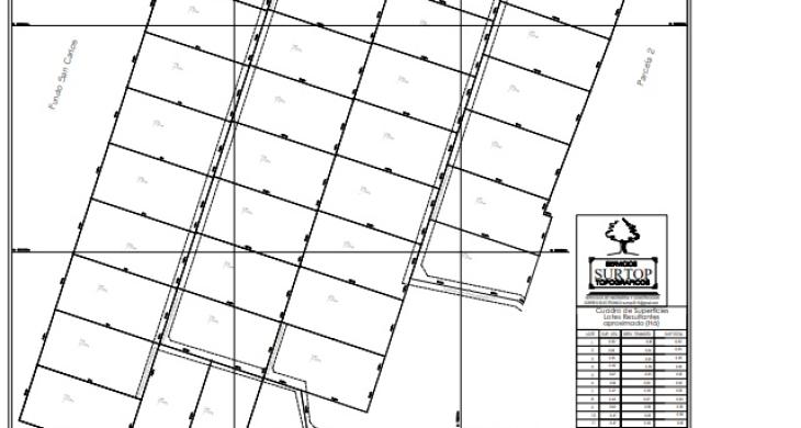 LAS VENTA SERAN POR UN MINIMO UNA HECTARIA