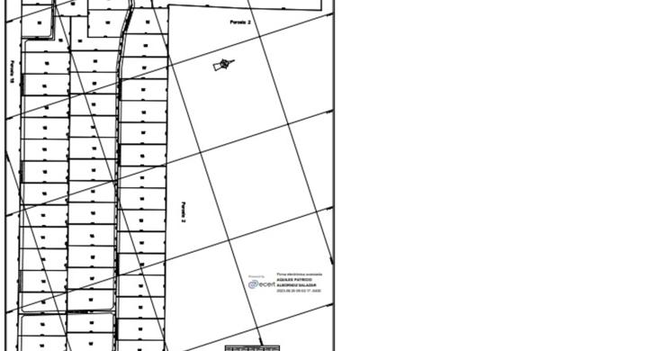 LAS VENTA SERAN POR UN MINIMO UNA HECTARIA
