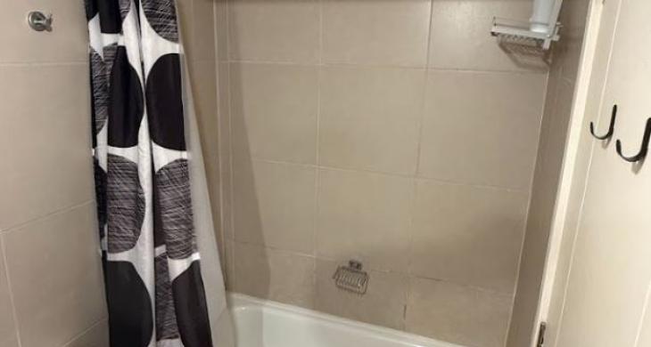 Baño dormitorio 1 tina y ducha