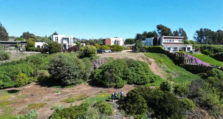 Orientación Norte privilegiada: luz natural asegurada durante todo el día