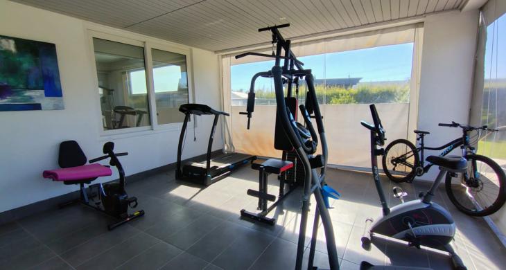 Gimnasio