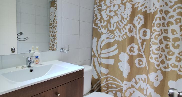 Baño suite