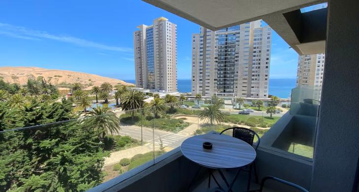 Vista al mar y dunas