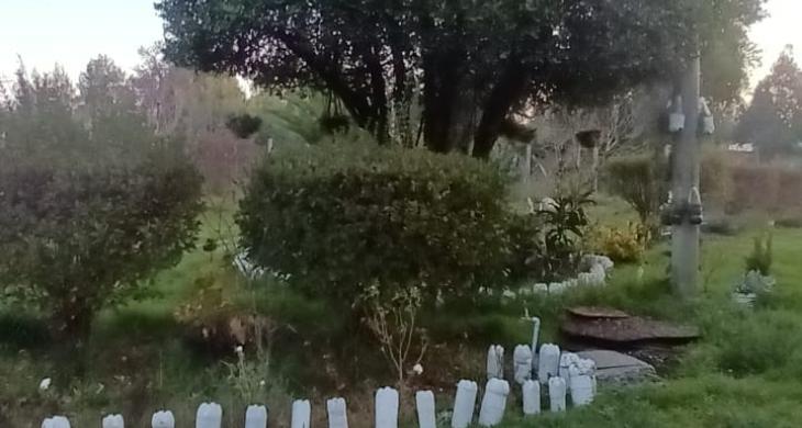 ANTE JARDIN DE CASA CON VARIADA VEGETACION Y ARBOLES