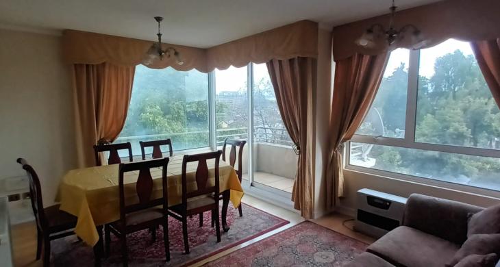 HERMOSO LIVING COMEDOR AMOBLADO, ACCESO A BALCON DESDE EL COMEDOR