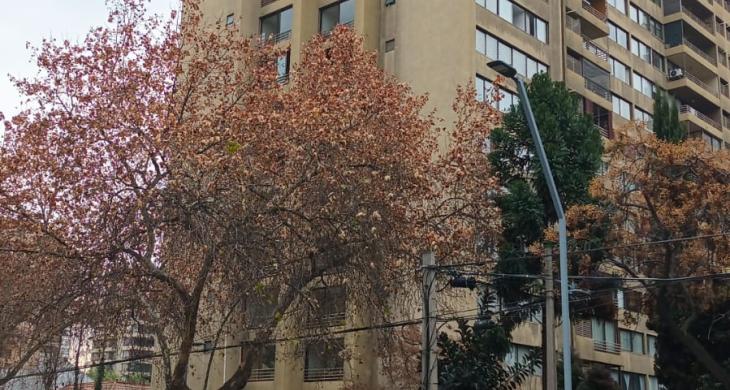 Fachada edificio