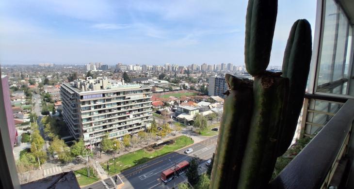 Vista desde el balcón del segundo dormitorio hacia Zanzíbar poniente